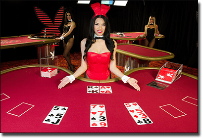 Playboy Bunny live dealer casino games by Microgaming