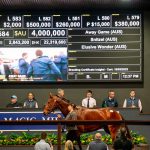 Several broodmares have sold for big money at on the Gold Coast