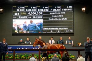 Several broodmares have sold for big money at on the Gold Coast